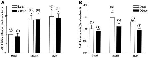 FIG. 4. Effects of insulin and EGF on Akt kinase activity in human skeletal muscle stimulated with 10−7 mol/l insulin or 10−7 mol/l EGF. Muscles were frozen in liquid nitrogen at the end of the stimulation period and stored at −80°C, until they were processed and used for Akt kinase assays as described in research design and methods. Panels A, B, and C show Akt-1, -2, and -3 activity, respectively. Values are in relative units with the basal set = 1 and are presented as means ± SE. Numbers in parentheses indicate number of observations. *Significantly different from basal (P < 0.05).