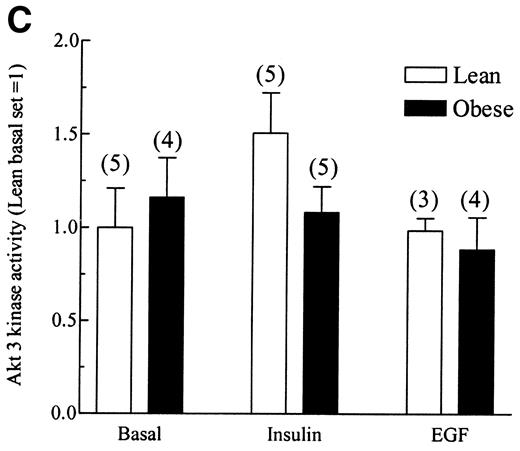FIG. 4. Effects of insulin and EGF on Akt kinase activity in human skeletal muscle stimulated with 10−7 mol/l insulin or 10−7 mol/l EGF. Muscles were frozen in liquid nitrogen at the end of the stimulation period and stored at −80°C, until they were processed and used for Akt kinase assays as described in research design and methods. Panels A, B, and C show Akt-1, -2, and -3 activity, respectively. Values are in relative units with the basal set = 1 and are presented as means ± SE. Numbers in parentheses indicate number of observations. *Significantly different from basal (P < 0.05).