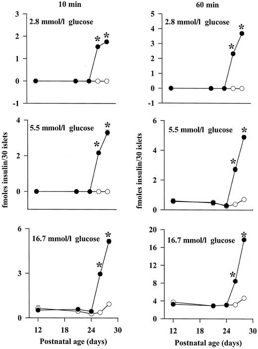 FIG. 2. Glucose-stimulated insulin secretion by islets from 2-HC rats. Pancreatic islets were isolated by collagenase digestion from 12-, 21-, 24-, 26-, and 28-day-old 2-HC (•) and age-matched MF (○) rats. The early-phase (10 min) and the late-phase (60 min) responses of these islets to 2.8, 5.5, and 16.7 mmol/l glucose are shown. Values are means ± SE of four independent experiments. *P < 0.001.
