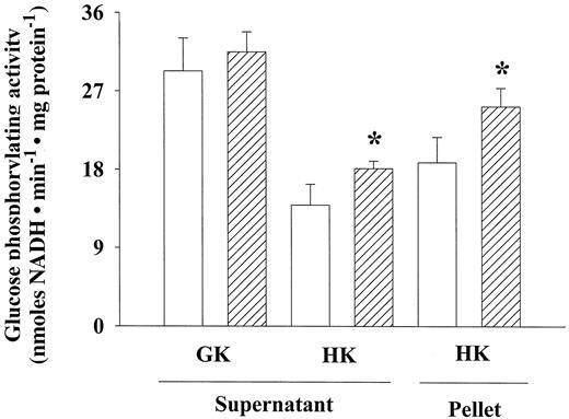 FIG. 3. Glucokinase (GK; supernatant fraction) and hexokinase (HK; supernatant and pellet fractions) activities in 28-day-old 2-HC ([cjs2113]) and age-matched MF (□) islets. Values are means ± SE of four independent experiments. *P < 0.05.