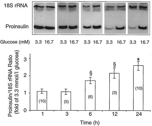 FIG. 1. Time course of the effect of glucose on proinsulin mRNA in isolated rat islets. Islets were cultured at 3.3 and 16.7 mmol/l glucose for 1, 3, 6, 12, and 24 h. Relative quantitative PCR for proinsulin mRNA and 18S rRNA was performed on cDNA prepared from total RNA extracted from 200–300 islets from each group. Proinsulin gene expression was first normalized to 18S rRNA (internal control) and then expressed as fold of values obtained in islets at 3.3 mmol/l glucose. The upper panel shows a representative time course, and the lower panel shows quantification of the results relative to islets at 3.3 mmol/l glucose. Results are mean ± SE. The number of individual experiments, each performed on islets pooled from six to eight animals, is indicated in parentheses. *P < 0.001, 24-h cultured islets vs. islets cultured for 1 and 3 h; §P < 0.05, 6-h cultured islets vs. 24-h cultured islets and 12-h cultured islets vs. 1-h cultured islets.