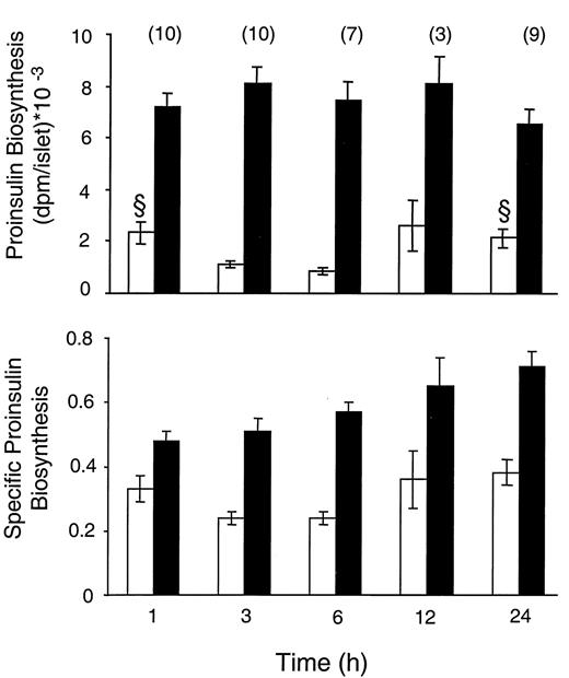 FIG. 2. Time course of the effect of glucose on proinsulin biosynthesis. Isolated rat islets were cultured at 3.3 and 16.7 mmol/l glucose for the indicated times. At the end of the culture, 25 islets were pulsed for 15 min with 25 μCi of 3H-leucine, at the same glucose concentration at which they were cultured. Proinsulin-related peptides were resolved by high-performance liquid chromatography, and their radioactivity was determined by liquid scintillation counting. Proinsulin biosynthesis is expressed in dpm/islet (top), and specific proinsulin biosynthesis (bottom) is calculated as the ratio of proinsulin to total protein biosynthesis. Results are mean ± SE. The number of individual experiments, each performed on islets pooled from six to eight animals, is indicated in parentheses. §P < 0.05 for the difference between islets cultured at 3.3 mmol/l glucose for 1 and 24 h vs. islets in the same glucose concentration for 3 and 6 h.