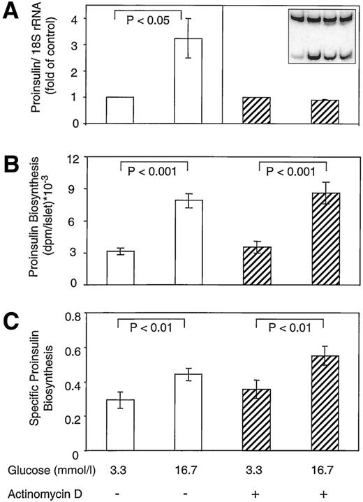 FIG. 3. Effect of actinomycin D on proinsulin mRNA and biosynthesis. Rat islets were cultured for 1 h in RPMI-1640 medium containing 3.3 and 16.7 mmol/l glucose with and without actinomycin D. Relative quantitative PCR was performed on cDNA of islets cultured at 3.3 and 16.7 mmol/l glucose for an additional 23 h in the absence of actinomycin D. The insert in A shows a representative experiment; the upper band is 18S rRNA, and the lower band is proinsulin mRNA (the order from left to right is as indicated on the x-axis). Note that 1 h of exposure to actinomycin D completely inhibited glucose-stimulated proinsulin gene expression. Proinsulin biosynthesis was evaluated at the end of 1 h of exposure to actinomycin D in batches of 25 islets from each group pulsed with 25 μCi of 3H-leucine for 15 min (B and C). Results are mean ± SE of three to five individual experiments, each using islets pooled from six to eight rats.