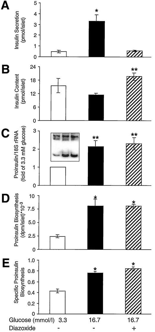 FIG. 4. Effect of diazoxide on glucose-stimulated insulin secretion, insulin content, proinsulin mRNA, and proinsulin biosynthesis. Isolated rat islets were cultured for 24 h in the presence of 3.3 and 16.7 mmol/l glucose, or 16.7 mmol/l glucose with 10 μmol/l diazoxide. A: Insulin secretion. B: Insulin content. C: Proinsulin mRNA. D: Proinsulin biosynthesis per islet. E: Specific proinsulin biosynthesis normalized to total protein biosynthesis. The insert in C shows a representative quantitative PCR experiment; the upper band is 18S rRNA, and the lower band is proinsulin mRNA (the order from left to right is as indicated on the x-axis). Results are mean ± SE of four individual experiments, each using islets pooled from six to eight rats. *P < 0.01 for the difference in insulin secretion (A) between 16.7 mmol/l glucose and either 3.3 mmol/l glucose or 16.7 mmol/l glucose + diazoxide, and for the difference in biosynthesis (D and E) relative to 3.3 mmol/l glucose. **P < 0.05 for the difference in insulin content (B) between 16.7 mmol/l with diazoxide and 16.7 mmol/l glucose alone, and for the difference in proinsulin mRNA (C) between 16.7 mmol/l glucose with and without diazoxide and 3.3 mmol/l glucose.