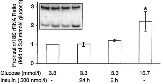 FIG. 5. Effect of exogenously added insulin on proinsulin mRNA. Rat islets were incubated for 24 h in 3.3 and 16.7 mmol/l glucose, as well as in 3.3 mmol/l glucose to which insulin (500 nmol/l) was added during the last 6 h or throughout the 24-h incubation. Relative quantitative PCR for proinsulin mRNA and 18S rRNA was studied as described in the legend to Fig. 1. The insert shows a representative quantitative PCR experiment; the upper band is 18S rRNA, and the lower band is proinsulin mRNA (the order from left to right is as indicated on the x-axis). Results are mean ± SE of four individual experiments, each using islets pooled from six to eight rats. *P < 0.05 for the difference between islets cultured at 16.7 vs. 3.3 mmol/l glucose.