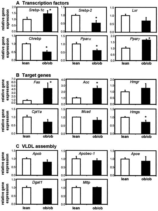 FIG. 3. Relative hepatic expression levels of several transcription factors (A); their target genes in FA synthesis, cholesterol synthesis, and FA oxidation (B); and genes involved in VLDL assembly (C) in lean (□) and ob/ob (▪) mice. Genes are relative to the hepatic β-actin expression level. *P < 0.05, Mann-Whitney U test.
