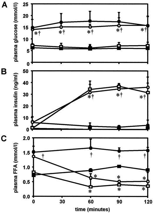 FIG. 4. Plasma glucose (A), insulin (B), and FFA (C) levels during a hyperinsulinemic clamp in lean mice receiving saline (▪) or insulin (□) and in ob/ob mice receiving saline (•) or insulin (○). n = 4 per group. *P < 0.05, insulin effect; †P < 0.05, mouse strain effect, Mann-Whitney U test.