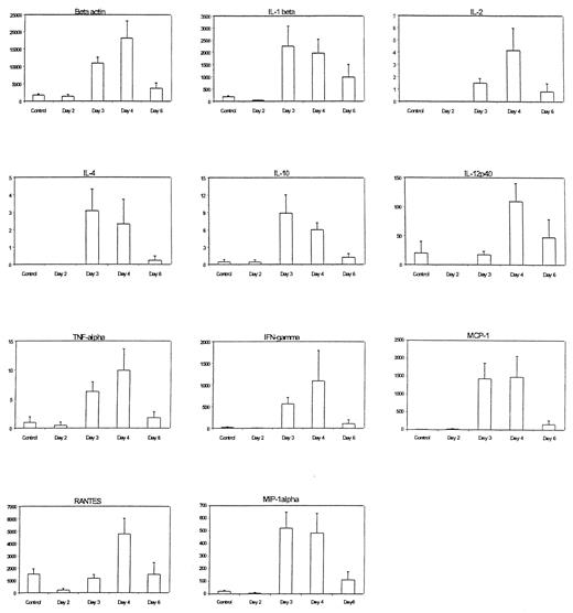 FIG. 2. Graphs representing the absolute levels of mRNA copies (divided by 103) (y-axis) at different times after transfer, (x-axis). Values are expressed as mean ± SE. Controls did not receive any transferred graft. The variation in expression of the different gene transcripts does not necessarily reflect their relative importance. Differences in mRNA degradation, translation efficiency, and receptor properties for the cytokines and chemokines remain to be fully characterized. Moreover, both the cDNA synthesis methods and the real-time PCR protocol applied to this experiment could differ in efficiency from one target molecule to another. As a consequence, rather than comparing absolute levels of different gene transcripts, the interpretation should be restricted to relating variations of each cytokine and chemokine transcript level at different time points.