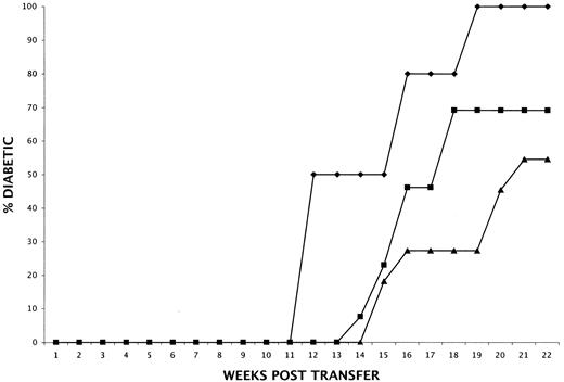 FIG. 5. RIPE3 genes directly exert T1D protective effects in hematopoietically derived cell types. Lethally irradiated 4- to 6-week-old NOD female mice were reconstituted with bone marrow from female syngeneic (⧫; n = 10) or RIPE3/NOD donors (▪; n = 13). NOD bone marrow was also used to reconstitute lethally irradiated 4- to 6-week-old RIPE3/NOD female recipients (▴; n = 11). Reconstitution with NOD marrow elicited a significantly slower rate (P ≤ 0.005, Life Table Analysis) and final frequency (P ≤ 0.05, χ2 analysis) of T1D development in RIPE3/NOD than syngeneic recipients. T1D also developed at a significantly slower rate (P ≤ 0.05, Life Table Analysis), but not at a decreased final frequency (χ2 analysis), in NOD mice reconstituted with RIPE3/NOD rather than syngeneic marrow.