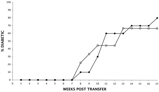 FIG. 6. Purified CD4 and CD8 T-cells from RIPE3/NOD mice transfer T1D as efficiently as those from standard NOD donors to NOD-scid recipients. Female NOD-scid mice were repopulated with admixtures of 2.5 × 106 purified CD4 and CD8 T-cells from female NOD (•; n = 11) or RIPE3/NOD (□; n = 9) donors. There were no significant differences in the ability of either admixture of purified T-cells to transfer T1D to NOD-scid recipients.