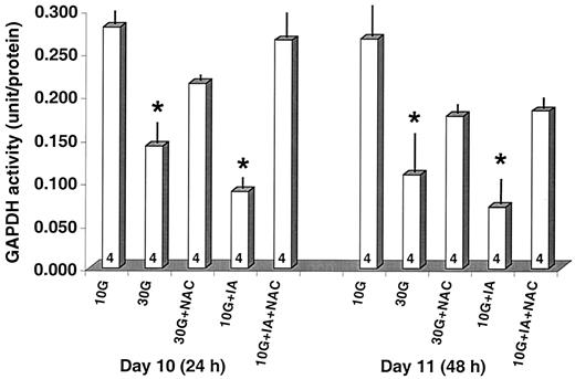 FIG. 3. GAPDH activity in embryos cultured in 10 or 30 mmol/l glucose (10G or 30G), with or without addition of NAC or IA after 24 or 48 h of culture (corresponding to gestational days 10 and 11), expressed as arbitrary enzyme units per μg protein. Data are means ± SE. *P < 0.05 vs. 10G embryos with same culture time (ANOVA). Number of embryos for each experiment indicated on bar.