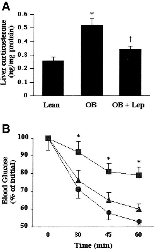 FIG. 3. A: Corticosterone levels in the livers of lean littermates treated with saline (Lean, n = 8), ob/ob mice treated with saline (OB, n = 9), and ob/ob mice treated with leptin (OB + Lep, n = 8). Values are means ± SE. *P < 0.01 vs. lean mice; †P < 0.05 vs. ob/ob mice. B: Insulin tolerance test in lean mice treated with saline (•), ob/ob mice treated with saline (▪), and ob/ob mice treated with leptin (▴). n = 4–5 mice/group. *P < 0.01 vs. leptin-treated ob/ob mice. Blood samples were collected from the tail at the indicated time, and glucose levels were measured.