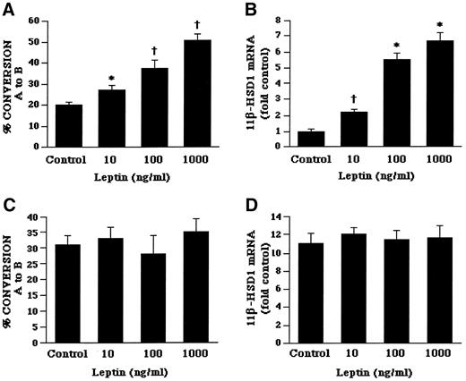 FIG. 5. Effects of leptin on 11β-HSD1 activities and mRNA levels in primary cultures of hepatocytes from both ob/ob (A and B) and db/db (C and D) mice. Hepatocytes were incubated in media with indicated concentrations of mouse leptin (10–1,000 ng/ml) for 48 h. Values are means ± SE from three to five separate culture preparations. A and C: 11β-HSD1 activity was expressed as the percent conversion of [3H]A to [3H]B in medium from hepatocytes after 30 min. *P < 0.05 vs. controls; †P < 0.01 vs. control. B and D: The levels of 11β-HSD1 mRNA expression were determined by quantitative real-time PCR and are expressed relative to the amount of mRNA found in controls. †P < 0.01 vs. controls; *P < 0.001 vs. controls.