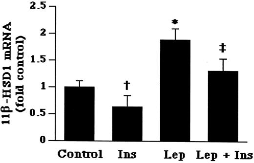 FIG. 7. The relative quantitations of 11β-HSD1 mRNA levels in primary culture hepatocytes from ob/ob mice. The level of 11β-HSD1 mRNA expression was analyzed by quantitative real-time PCR and are expressed relative to the amount of mRNA found in the untreated hepatocytes. Values are means ± SE from three separate culture preparations. The ob/ob mouse hepatocytes were treated with insulin (10 nmol/l) in the absence or presence of leptin (10 ng/ml) for 48 h. †P < 0.05 vs. controls; *P < 0.001 vs. controls; ‡P < 0.01 vs. leptin-treated hepatocytes. Ins, insulin; Lep, leptin.