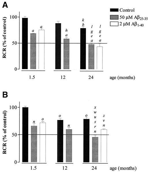 FIG. 1. Effect of age and Aβ peptides on RCR of brain mitochondria isolated from GK (A) and Wistar control (B) rats. Freshly isolated brain mitochondria (0.8 mg) in 1 ml of the standard medium supplemented with 2 μmol/l rotenone were energized with 5 mmol/l succinate. Isolates were preincubated with 50 μmol/l Aβ25–35 and 2 μmol/l Aβ1–40 for 5 min at 30°C before mitochondria energization. aP < 0.001; bP < 0.01, when compared with mitochondria isolated from 1.5-month-old GK rats. eP < 0.01, when compared with mitochondria isolated from 1.5-month-old GK rats, in the presence of 2 μmol/l Aβ1–40. gP < 0.001; hP < 0.01, when compared with mitochondria isolated from 12-month-old GK rats. kP < 0.05, when compared with mitochondria isolated from 12-month-old GK rats, in the presence of 50 μmol/l Aβ25–35. lP < 0.001, when compared with mitochondria isolated from 24-month-old GK rats. nP < 0.001, when compared with mitochondria isolated from 1.5-month-old Wistar control rats. rP < 0.05, when compared with mitochondria isolated from 1.5-month-old Wistar control rats, in the presence of 50 μmol/l Aβ25–35. sP < 0.001, when compared with mitochondria isolated from 1.5-month-old Wistar control rats, in the presence of 2 μmol/l Aβ1–40. uP < 0.001; vP < 0.05, when compared with mitochondria isolated from 12-month-old Wistar control rats. wP < 0.05, when compared with mitochondria isolated from 12-month-old Wistar control rats, in the presence of 50 μmol/l Aβ25–35. xP < 0.001, when compared with mitochondria isolated from 24-month-old Wistar control rats.
