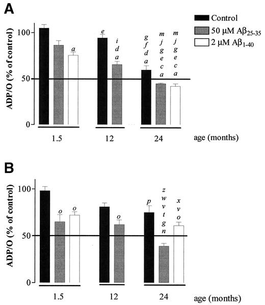 FIG. 2. Effect of aging and Aβ peptides on ADP/O ratio of brain mitochondria isolated from GK (A) and Wistar control (B) rats. Freshly isolated brain mitochondria (0.8 mg) in 1 ml of the standard medium supplemented with 2 μmol/l rotenone were energized with 5 mmol/l succinate. Isolates were preincubated with 50 μmol/l Aβ25–35 and 2 μmol/l Aβ1–40 for 5 min at 30°C before mitochondria energization. aP < 0.001, when compared with mitochondria isolated from 1.5-month-old GK rats. cP < 0.001; dP < 0.01, when compared with mitochondria isolated from 1.5-month-old GK rats, in the presence of Aβ25–35. eP < 0.01; fP < 0.05, when compared with mitochondria isolated from 1.5-month-old GK rats, in the presence of Aβ1–40. gP < 0.001; iP < 0.05, when compared with mitochondria isolated from 12-month-old GK rats. nP < 0.001; oP < 0.01; pP < 0.05, when compared with mitochondria isolated from 1.5-month-old Wistar control rats. qP < 0.01, when compared with mitochondria isolated from 1.5-month-old Wistar control rats, in the presence of Aβ25–35. tP < 0.01, when compared with mitochondria isolated from 1.5-month-old Wistar control rats, in the presence of Aβ1–40. vP < 0.05, when compared with mitochondria isolated from 12-month-old Wistar control rats. yP < 0.01, when compared with mitochondria isolated from 24-month-old Wistar control rats.