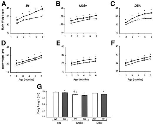 FIG. 2. Male and female DH mice on all three backgrounds show growth retardation. Body weights of male (A–C) and female (D–F) WT controls (•) and DH mice (○) from the three backgrounds are plotted over 6 months. Body lengths of 6-month-old male WT (□) and DH (▪) mice on the three backgrounds are shown in G. *P < 0.01, DH vs. WT; ‡P < 0.05, WT (129Sv) vs. WT (B6); +P < 0.05, WT (129Sv) vs. WT (DBA). n = 100–110. All values are expressed as means ± SE. The error bars, if not visible, lie within the symbols.