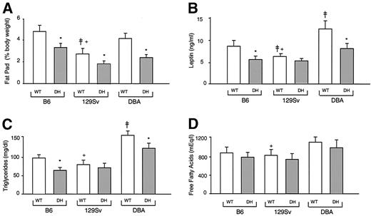 FIG. 3. Alterations in parameters of lipid metabolism and serum leptin in DH mice. A: Fat pad mass is expressed as the percentage body weight in WT (□) and DH (▪) male mice. n = 7–11. *P < 0.02, DH vs. WT; ‡ P < 0.05, WT (129Sv) vs. WT (B6); +P < 0.05, WT (129Sv) vs. WT (DBA). B: Serum leptin was determined in the fed state in WT (□) and DH (▪) male mice. n = 6–8. *P < 0.05, DH vs. WT; ‡P < 0.05, WT (129Sv) or WT (DBA) vs. WT (B6); +P < 0.05, WT (129Sv) vs. WT (DBA). C: Serum triglycerides were measured in 14-h overnight-fasted male WT (□) and DH (▪) mice. n = 8–10. *P < 0.02, DH vs. WT; ‡P < 0.01, WT (DBA) vs. WT (B6); +P < 0.01, WT (129Sv) vs. WT (DBA). D: Serum free fatty acids were measured in 14-h overnight-fasted male WT (□) and DH (▪) mice. n = 8–10. +P < 0.05, WT (129Sv) vs. WT (DBA).