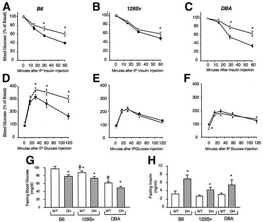 FIG. 5. Altered insulin resistance, glucose intolerance, fasting serum insulin, and blood glucose levels in DH mice. Insulin tolerance tests were performed on random-fed male WT (•) and DH (□) mice on the B6 (A), 129Sv (B), and DBA (C) backgrounds. Animals were injected with 1 unit/kg body wt of human regular insulin (Humulin; Lilly) i.p. Blood glucose was recorded from tail vein samples at 0, 15, 30, and 60 min. Glucose tolerance tests were performed on 14-h overnight fasted male WT (•) and DH (□) mice on the B6 (D), 129Sv (E), and DBA (F) backgrounds. Animals were injected with 2 g/kg body wt glucose i.p. Blood glucose was recorded from tail vein samples at 0, 15, 30, 60, and 120 min. n = 8–12. * P < 0.01, WT vs. DH. Fasting blood glucose (G) and serum insulin (H) was measured after a 14-h overnight fast in WT (□) and DH (▪) male mice. n = 35–76. *P < 0.01, DH vs. WT; ‡P < 0.02, WT (129Sv) or WT (DBA) vs. WT (B6); +P < 0.01, WT (129Sv) vs. WT (DBA). IP, intraperitoneal.