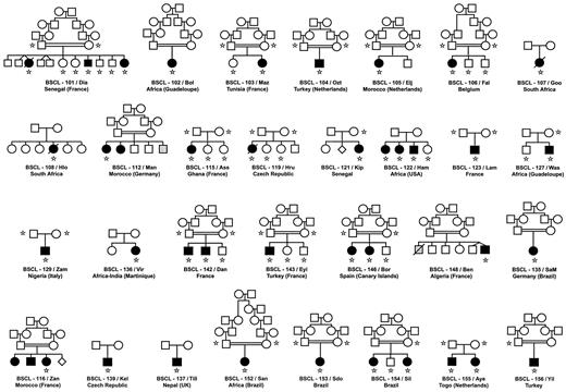 FIG. 1. Pedigrees of families with BSCL disclosing mutations in AGPAT2. Open symbols, unaffected individuals; filled symbols, affected individuals; gray symbols, individuals with uncertain phenotype; diagonal slash, deceased patients. Stars denote subjects for which DNA was available. When the country of origin is known to be different from country where the patient is living, this later is indicated between brackets.
