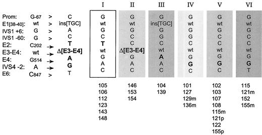 FIG. 2. Disease-associated alleles inferred from haplotype analysis in each group of patients disclosing the same mutation. Left: Bi-allelic markers and, in bold characters, DNA alterations; filled boxes represent the allele with at the top, roman letters indicate the allele number and at the bottom, the number of each carrier patient. Right: For heterozygous patients, m and p indicate the maternal and paternal allele, respectively. Three mutations are imbedded in the same carrier alleles, suggesting that each of these mutations represents a unique mutational event and that the patients might be related (respectively, in exon 2: nonsense mutation [C202→T] in allele I, deletion of exons 3 and 4 in allele II, and in exon 4: missense mutation [G514→A] in allele III). Conversely, three different alleles, IV, V, and VI, are distinguished among patients disclosing the splice mutation IVS4–2A→G, suggesting the recurrence of independent mutational events.