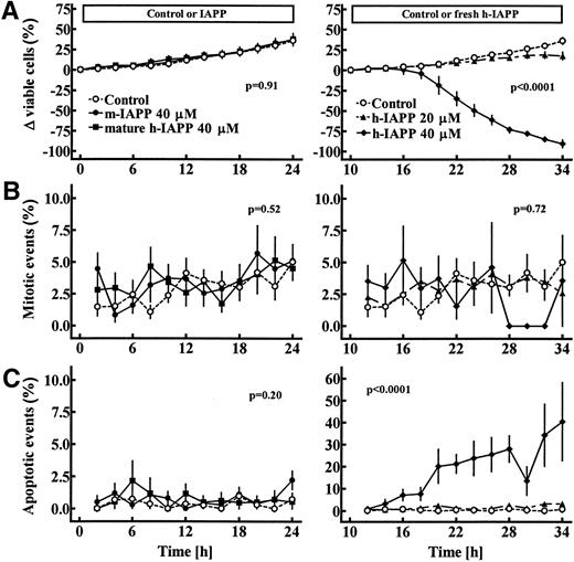FIG. 2. Change in the relative size of the cell population (A), mitotic events (B), and apoptotic events (C) in RIN cells cultured for 24 h on the stage of a time-lapse video microscope. Control, m-IAPP, matured h-IAPP (left), or fresh h-IAPP (right) were applied to the cells in culture 10 h before initiation of time-lapse imaging (P < 0.05 indicates significant differences between groups; ANOVA).