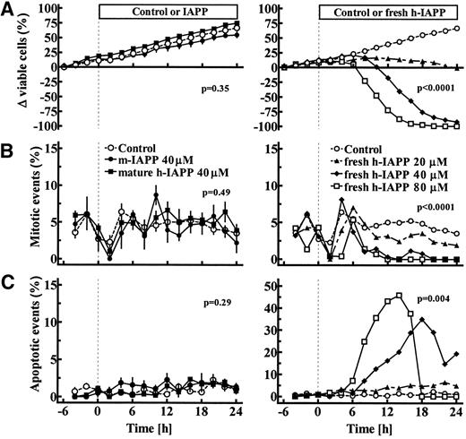 FIG. 3. Change in the relative size of the cell population (A), mitotic events (B), and apoptotic events (C) in HeLa cells cultured for 30 h on the stage of a time-lapse video microscope. After a basal period (−6 to 0 h), control, m-IAPP, matured h-IAPP (left), or fresh h-IAPP (right) were applied to the cells in culture (P < 0.05 indicates significant differences between groups; ANOVA).