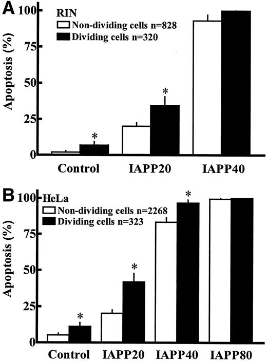 FIG. 4. Dose-response relationships of IAPP-induced apoptosis in dividing versus nondividing RIN (A) and HeLa cells (B). *Significant differences between both groups (P < 0.05, nonpaired t test).