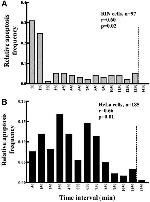 FIG. 5. Apoptosis in replicating RIN (A) and HeLa cells (B). Depicted are the histograms of the time intervals between replication and apoptosis in the same cell. The dashed vertical line indicates the full cell cycle length. The r and P values are derived from linear regression analysis.