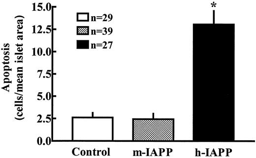 FIG. 6. Mean number of apoptotic cells in human islets incubated for 48 h with vehicle (control), m-IAPP (40 μmol/l), or h-IAPP (40 μmol/l). Apoptosis in human islets was detected using the TUNEL method. *Significant difference compared with control (P < 0.05, nonpaired t test).