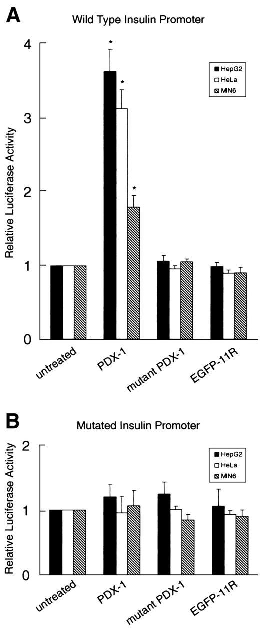 FIG. 4. Increase of insulin promoter activity by transduced PDX-1 protein. Twenty-four hours after transient transfection of wild-type (A) or mutant (B) insulin promoter-luciferase plasmid, HepG2, HeLa, and MIN6 cells were treated with 100 nmol/l PDX-1 protein for 24 h; then luciferase activity was measured. Wild-type insulin promoter activity was significantly (P < 0.05) increased by treatment with PDX-1 protein in all three cell lines but not by treatment with mutant PDX-1 or EGFP-11R. Mutated insulin promoter activity was not significantly changed by any treatment. Data are expressed as mean ± SE with the basal insulin promoter activity being arbitrarily set at 1; the basal level activity in the HepG2 and HeLa is very low compared with that in the MIN6 (n = 4).