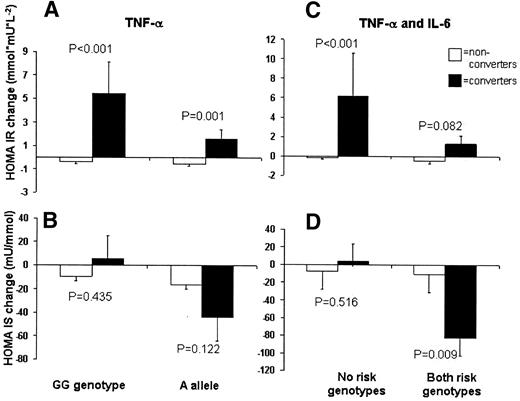 FIG. 2. Three-year change (mean ± SE) in HOMA-IR (A) and HOMA-IS (B) according to the G-308A polymorphism of the TNF-α gene in subjects who converted and who did not convert to type 2 diabetes. Three-year change (mean ± SE) in HOMA-IR index (C) and HOMA-IS index (D) according to the presence or absence of risk genotypes of the TNF-α gene (−308A allele) and the IL-6 gene (C-174C genotype) in subjects who converted and who did not convert to type 2 diabetes.