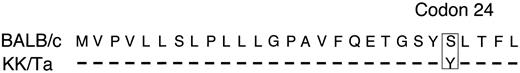 FIG. 2. Partial Azgp1 amino acid sequences. Amino acid at codon 24 of Azgp1 are boxed.