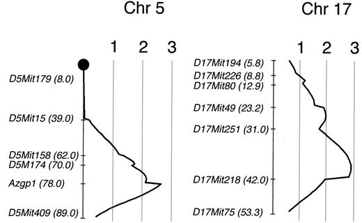 FIG. 3. QTL analysis of obesity in KK/Ta mice with male (BALB/c × KK/Ta) F1 progeny at 8 weeks of age. LOD score curves are shown along the chromosome. Mapping positions of the typed microsatellite markers are indicated on the left, with the Mouse Chromosome Committee cM distances from the centromere in parentheses.
