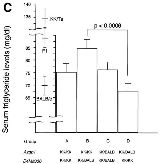 FIG. 4. ANOVA among groups classified by combined genotyping. KK/Ta × (BALB/c × KK/Ta) F1 male backcross mice were subdivided into four groups (A–D) according to combined genotyping of loci Azgp1, D4Mit336, and D17Mit218. Body weight and serum triglyceride levels are expressed as means ± SE. KK/KK, homozygote for KK/Ta allele; KK/KB, heterozygote for KK/Ta and BALB/c allele. Data of parental and F1 strains are also included.