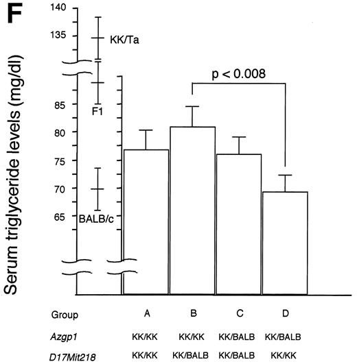 FIG. 4. ANOVA among groups classified by combined genotyping. KK/Ta × (BALB/c × KK/Ta) F1 male backcross mice were subdivided into four groups (A–D) according to combined genotyping of loci Azgp1, D4Mit336, and D17Mit218. Body weight and serum triglyceride levels are expressed as means ± SE. KK/KK, homozygote for KK/Ta allele; KK/KB, heterozygote for KK/Ta and BALB/c allele. Data of parental and F1 strains are also included.