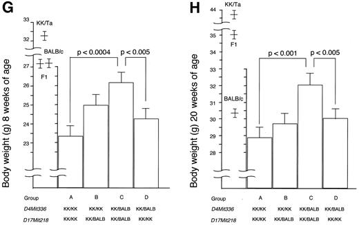 FIG. 4. ANOVA among groups classified by combined genotyping. KK/Ta × (BALB/c × KK/Ta) F1 male backcross mice were subdivided into four groups (A–D) according to combined genotyping of loci Azgp1, D4Mit336, and D17Mit218. Body weight and serum triglyceride levels are expressed as means ± SE. KK/KK, homozygote for KK/Ta allele; KK/KB, heterozygote for KK/Ta and BALB/c allele. Data of parental and F1 strains are also included.