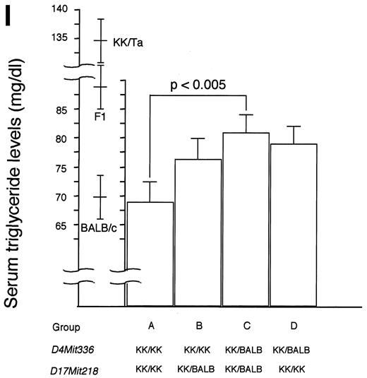 FIG. 4. ANOVA among groups classified by combined genotyping. KK/Ta × (BALB/c × KK/Ta) F1 male backcross mice were subdivided into four groups (A–D) according to combined genotyping of loci Azgp1, D4Mit336, and D17Mit218. Body weight and serum triglyceride levels are expressed as means ± SE. KK/KK, homozygote for KK/Ta allele; KK/KB, heterozygote for KK/Ta and BALB/c allele. Data of parental and F1 strains are also included.