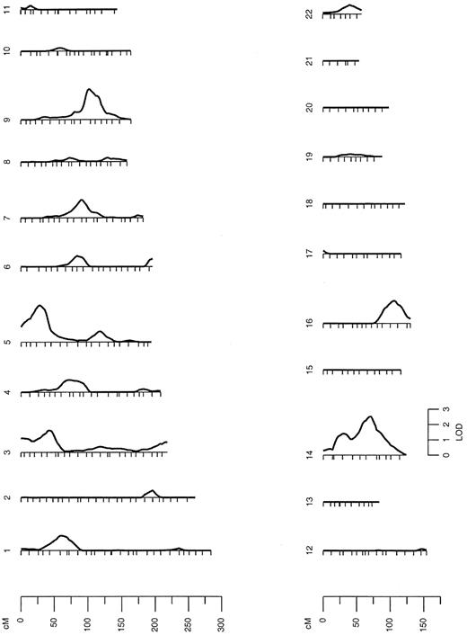 FIG. 1. Results of genome-wide scans for multipoint linkage analysis of age at MODY3 onset. The chromosomal position is represented on the x-axis and the LOD scores on the y-axis. For each chromosome, position 0 corresponds to the most proximal marker in the Marshfield Set 10. Positions in the Marshfield map can be calculated by adding the position of the most proximal marker in that map to the positions in the linkage plots.
