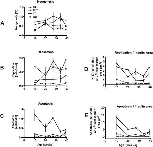 FIG. 4. New islet formation (A), β-cell replication/islet (B), β-cell apoptosis/islet (C), β-cell replication/insulin area (D), and apoptosis/insulin area (E) with age in the four mice groups. OT, obese transgenic; ONT, obese nontransgenic; LT, lean transgenic; LNT, lean nontransgenic.