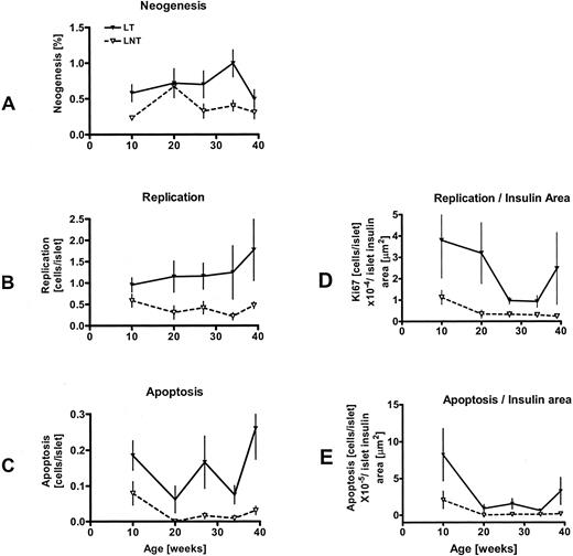 FIG. 6. New islet formation (A), β-cell replication/islet (B), β-cell apoptosis/islet (C), β-cell replication/insulin area (D), and β-cell apoptosis/insulin area (E) with age in the lean groups only. LT, lean transgenic; LNT, lean nontransgenic.