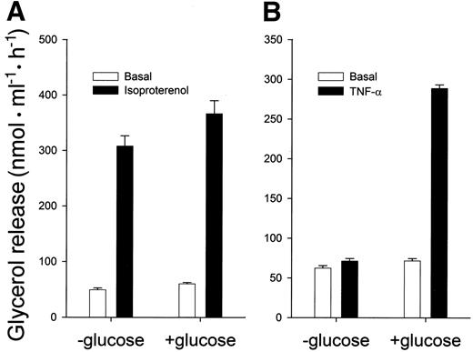 FIG. 2. Effect of isoproterenol and TNF-α in the absence and presence of glucose. A: Adipocytes were incubated for 16 h with or without glucose, and then the cells were washed and lipolysis was measured without or with isoproterenol (1 μmol/l) over 1 h. B: Adipocytes were incubated for 16 h in the absence or presence of glucose and TNF-α. The cells were then washed, and the adipocytes were incubated for an additional 1 h. Data are means ± SD (n = 3).