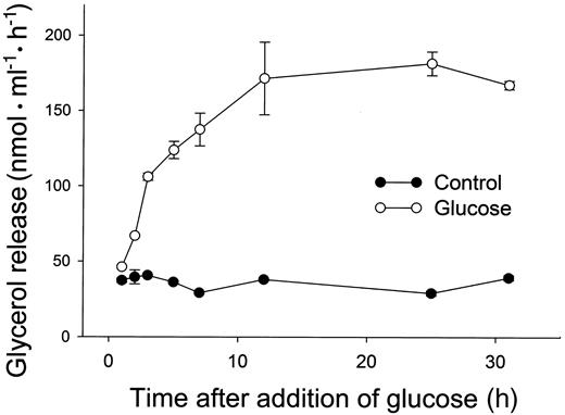 FIG. 3. Time course for glucose-induced TNF-α action. Adipocytes were incubated for 16 h with TNF-α (50 ng/ml) but no glucose. The medium was then removed and replaced with media containing TNF-α either with no glucose (•) or with 25 mmol/l glucose (○). At intervals thereafter, the cells were washed and the rate of glycerol release was determined over the next 1 h. Data are means ± SD (n = 3).
