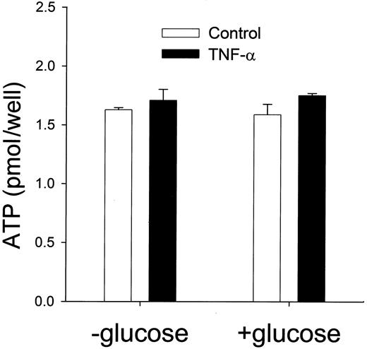 FIG. 5. Cellular ATP concentrations. Adipocytes were incubated with no additions, glucose (25 mmol/l), TNF-α (50 ng/ml), or glucose plus TNF-α, as indicated, for 16 h. The cells were washed and lysed, and ATP concentrations were determined as described in research design and methods. Data are means ± SD (n = 3).