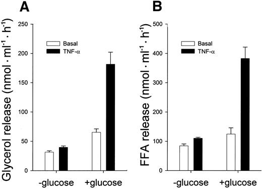 FIG. 6. Effect of glucose and TNF-α on fatty acid release. Adipocytes were incubated with or without glucose (25 mmol/l) and/or TNF-α (50 ng/ml), as indicated, for 16 h. The cells were washed, and the rate of lipolysis was measured as glycerol release (A) or fatty acid release (B) over a 1-h incubation period. Data are means ± SD (n = 3).