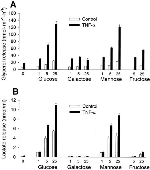 FIG. 7. Effect of other sugars on the lipolytic effect of TNF-α. Adipocytes were incubated for 16 h in the absence or presence of TNF-α (50 ng/ml) with no additions or with 1, 5, or 25 mmol/l glucose, galactose, mannose, or fructose, as indicated. After 16 h, the supernatant was removed, and the cells were washed. A: Glycerol release over the next 1 h. B: Lactate in the supernatant removed after the 16-h incubation. Data are means ± SD (n = 3).