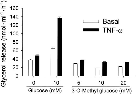 FIG. 8. Effect of glucose and 3-O-methyl glucose on the lipolytic effect of TNF-α. Adipocytes were incubated for 16 h in the absence or presence of TNF-α (50 ng/ml) with no additions; with glucose (10 mmol/l); or with 5, 10, or 20 mmol/l 3-O-methyl glucose, as indicated. The supernatant was then removed, the cells were washed, and the rate of glycerol release was measured over 1 h. Data are means ± SD (n = 3).
