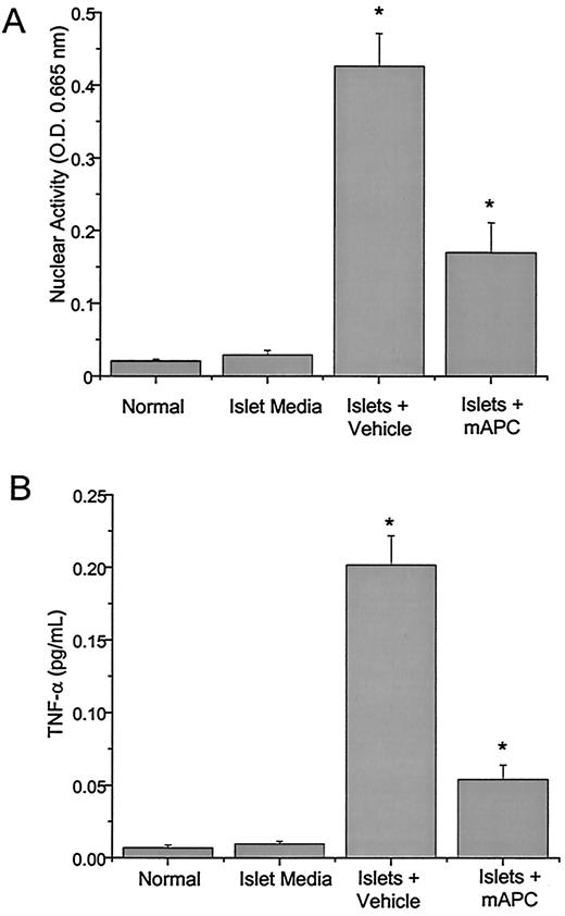 FIG. 8. Effects of mAPC on NF-κB nuclear translocation and TNF-α production from PVECs cocultured with syngeneic isolated islets. PVECs were isolated and cocultured with hand-picked islets (C57BL/6 mice) at 1 IEQ/100 PVEC, as described in research design and methods, in the presence of mAPC (50 nmol/l) or vehicle (19). This ratio is comparable to the dose of islet cells normally infused into the portal vein during PIT. After 6 h in culture, islets were removed, and nuclear extracts were immediately prepared from trypsinized PVECs. A: DNA binding of NF-κB p50 was assessed in nuclear extracts. B: TNF-α was determined from tissue culture supernatants 24 h after the initial exposure of PVECs with islets. Results are expressed as mean ± SD (n = 6). *P < 0.05, islets + vehicle vs. islets + mAPC.