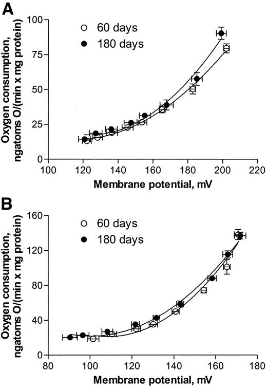 FIG. 1. Kinetics of basal proton leak in SS (A) and IMF (B) skeletal muscle mitochondria from 60- and 180-day-old rats. Results are reported as means ± SE of eight different rats. Basal proton leak was not significantly different in 180- compared with 60-day-old rats, as shown by nonlinear regression curve fits.