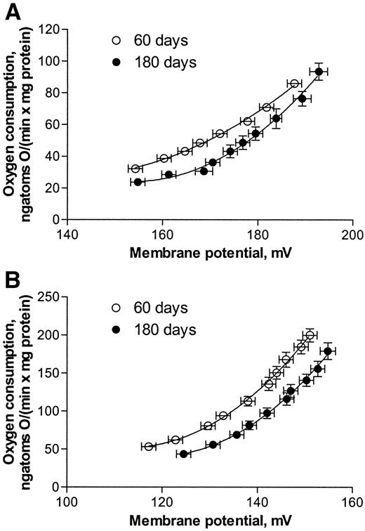 FIG. 2. Kinetics of palmitate-induced proton leak in SS (A) and IMF (B) skeletal muscle mitochondria from 60- and 180-day-old rats. Results are reported as means ± SE of eight different rats. Palmitate-induced proton leak was significantly (P < 0.05) lower in 180- compared with 60-day-old rats, as shown by nonlinear regression curve fits.